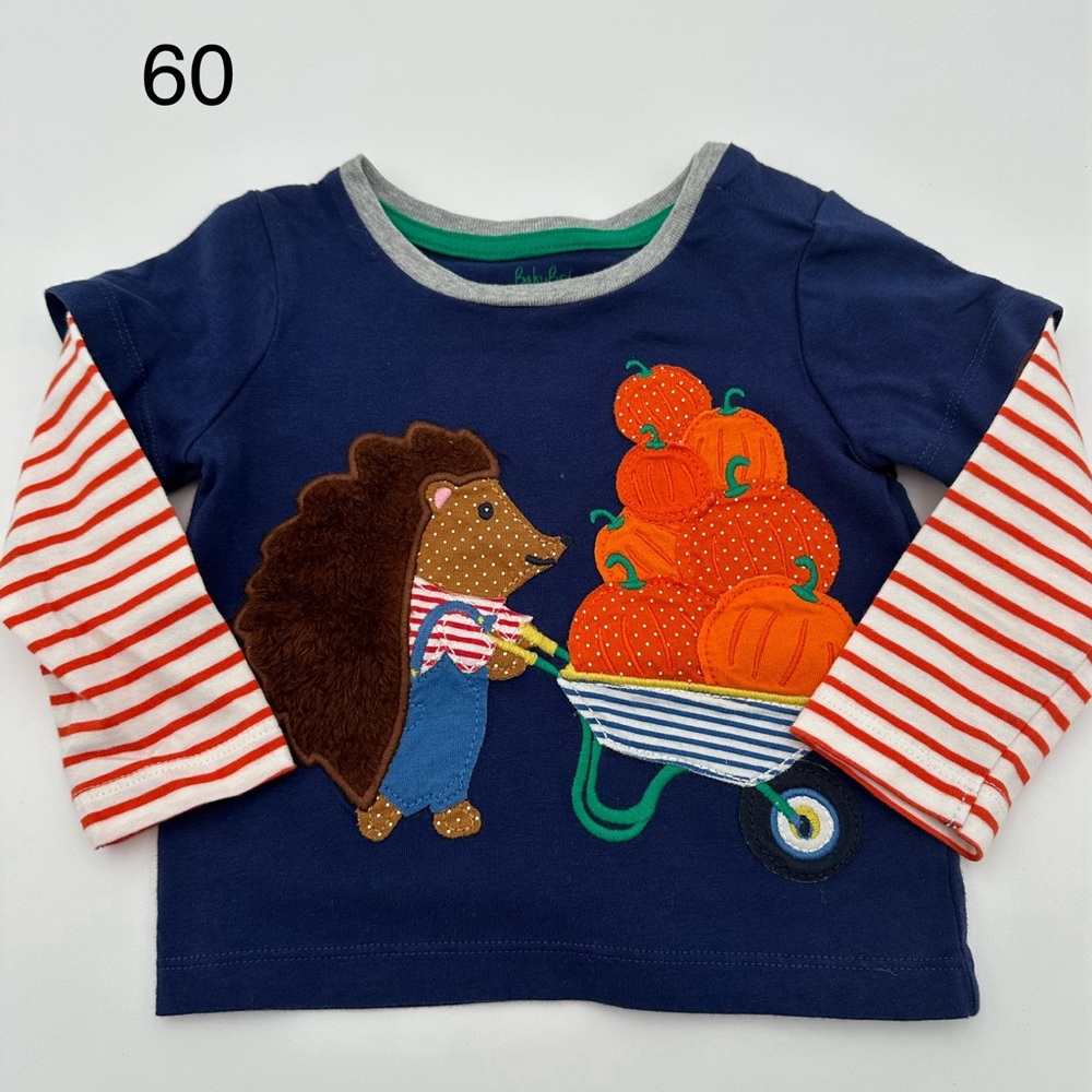 Baby Boden pumpkins/hedgehog top 
6-9 months